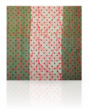 Палантин Женский SN-TREE.DOTS/GREY